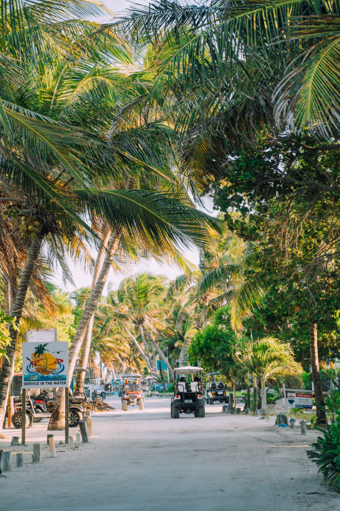 Boca Del Rio Ambergris Caye Belize