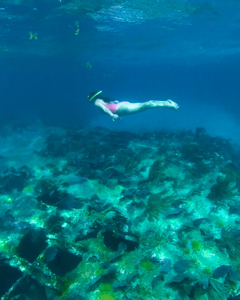 Shipwreck Caye Caulker Snorkelling