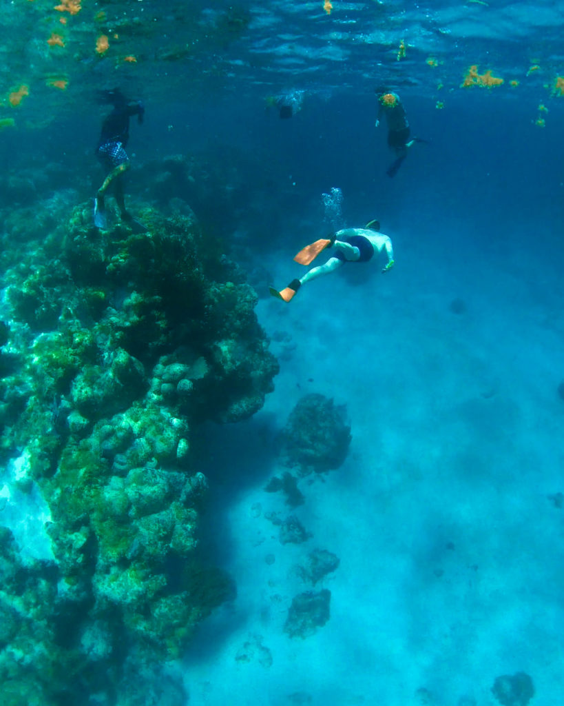 Caye Caulker Snorkelling