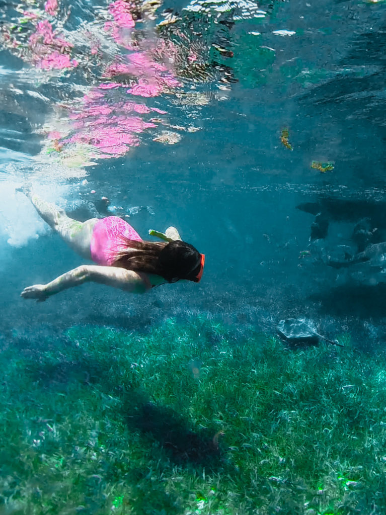 Caye Caulker Stingray