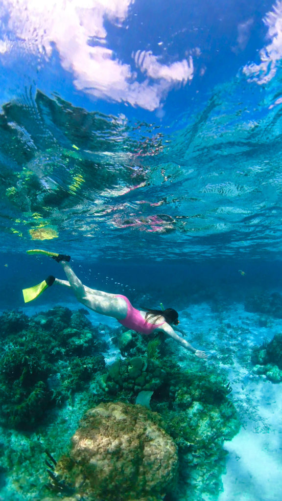 Caye Caulker Snorkelling