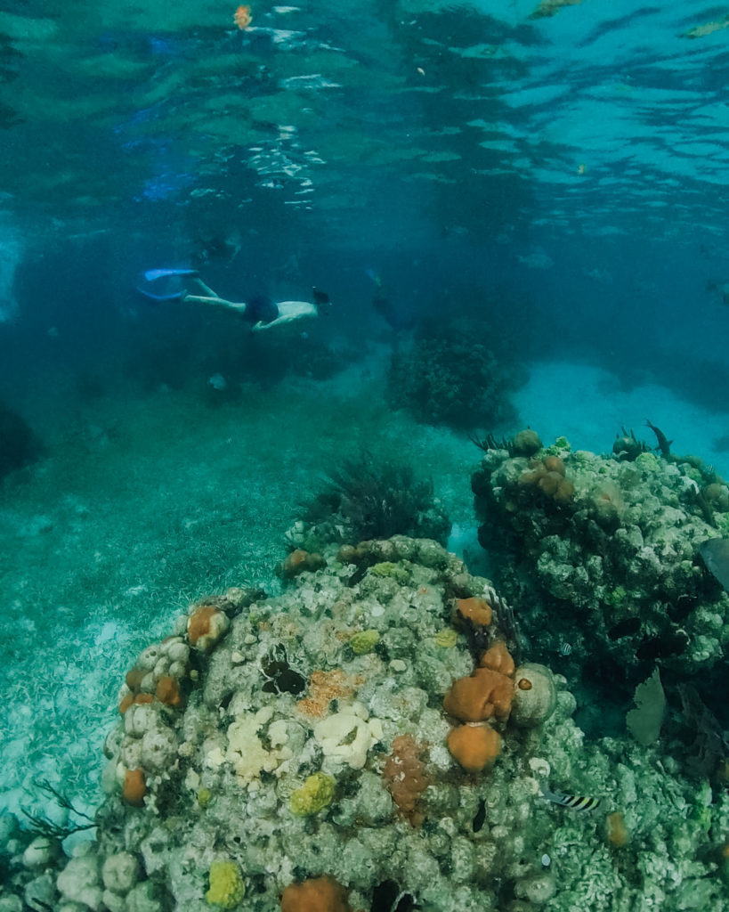 Mexico Rocks Ambergris Caye Belize