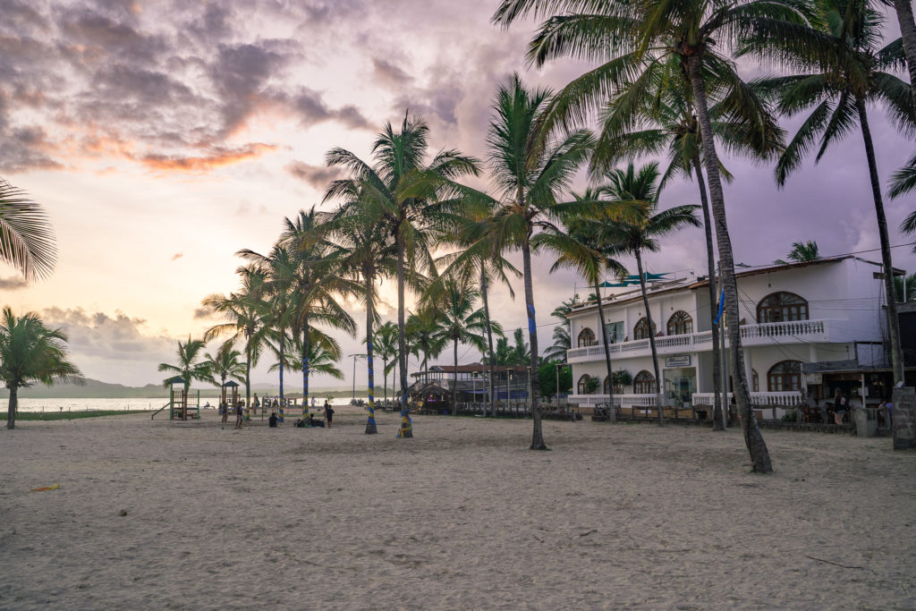 From Beaches to Volcanoes: Exploring Puerto Villamil in Isabela, Galapagos - Conclusion