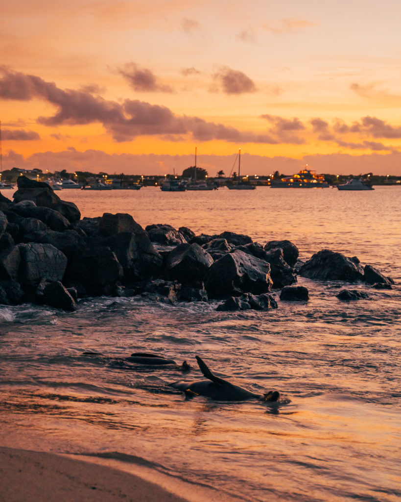 Sunset San Cristobal Galapagos Islands