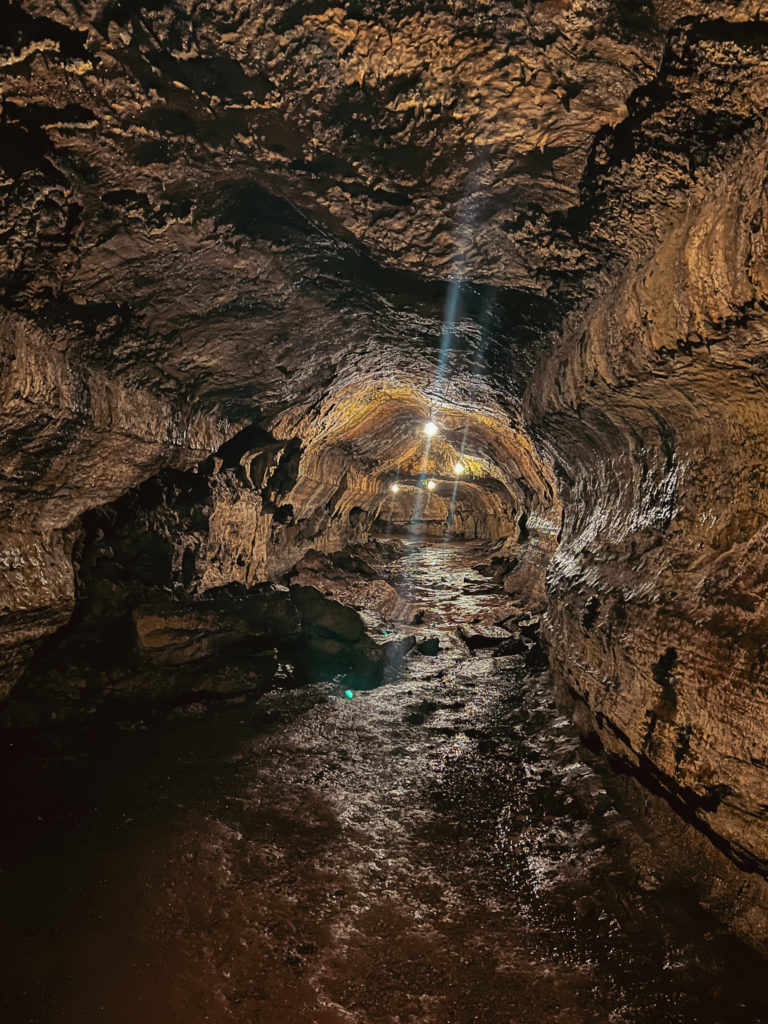 El Chato Caves Santa Cruz Galapagos Islands