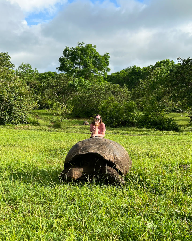 El Chato Ranch Santa Cruz Galapagos Islands