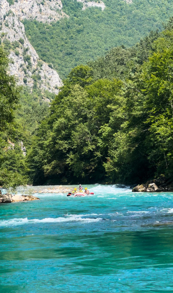 Rafting Tara River