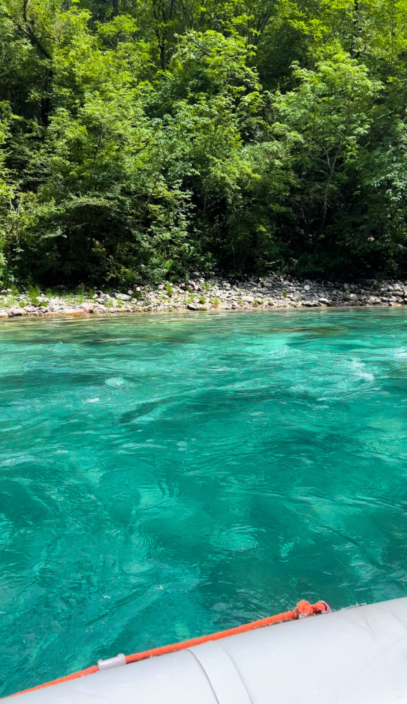 Rafting Tara River